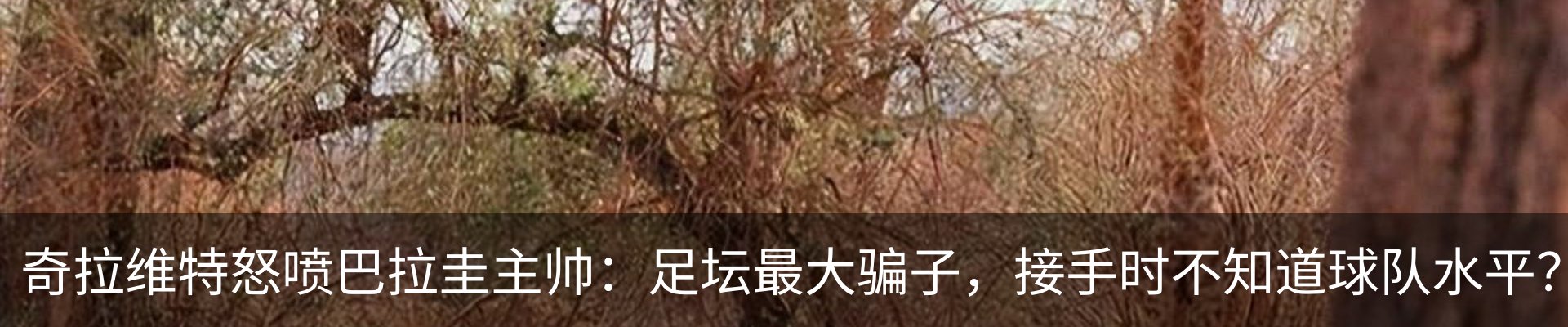 资讯中心